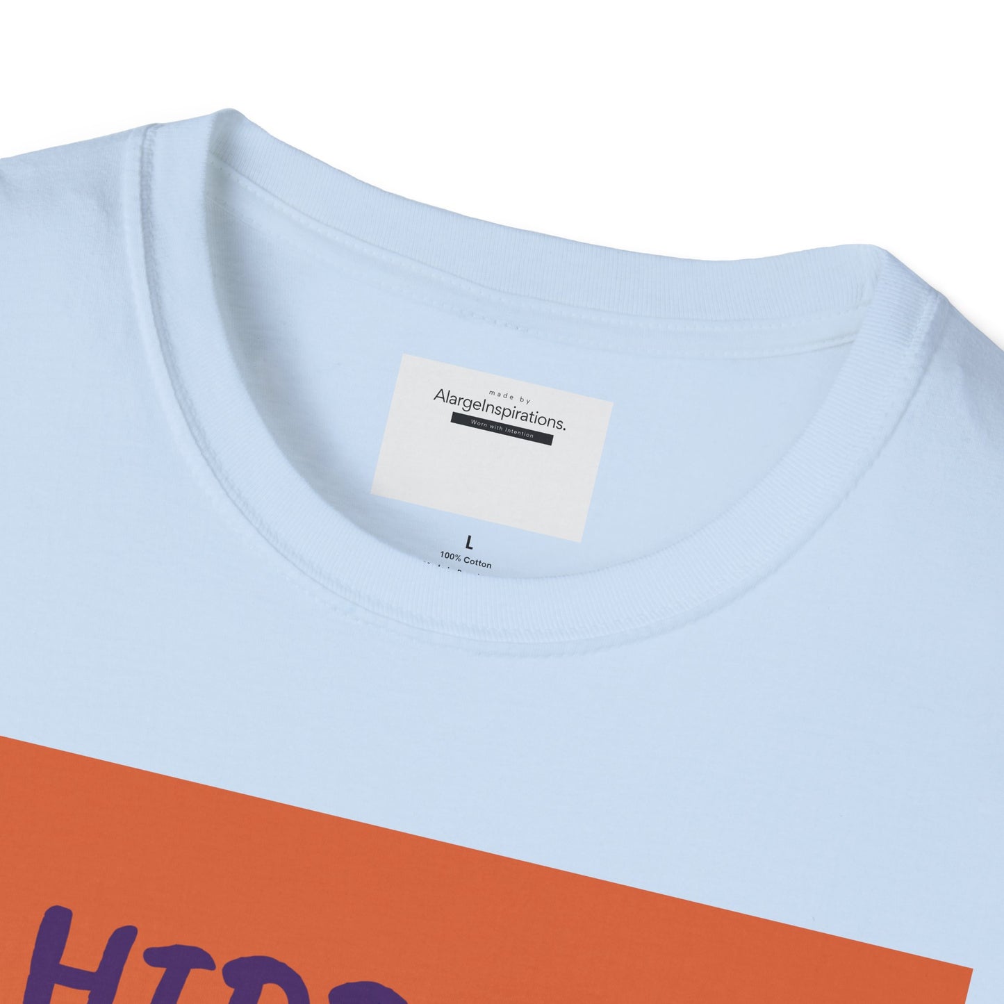 Halloween Pumpkin T-Shirt | Hidden in Plain Sight | Keep It Private T-Shirt for Fall, Keep It Private. Wear It Bold, Spooky Season,