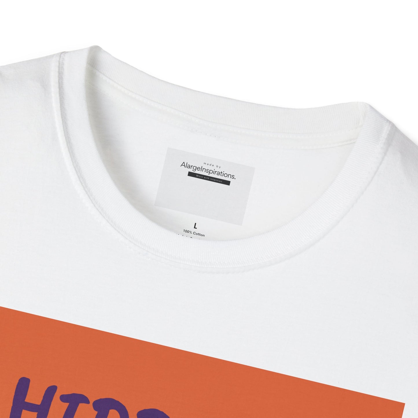 Halloween Pumpkin T-Shirt | Hidden in Plain Sight | Keep It Private T-Shirt for Fall, Keep It Private. Wear It Bold, Spooky Season,