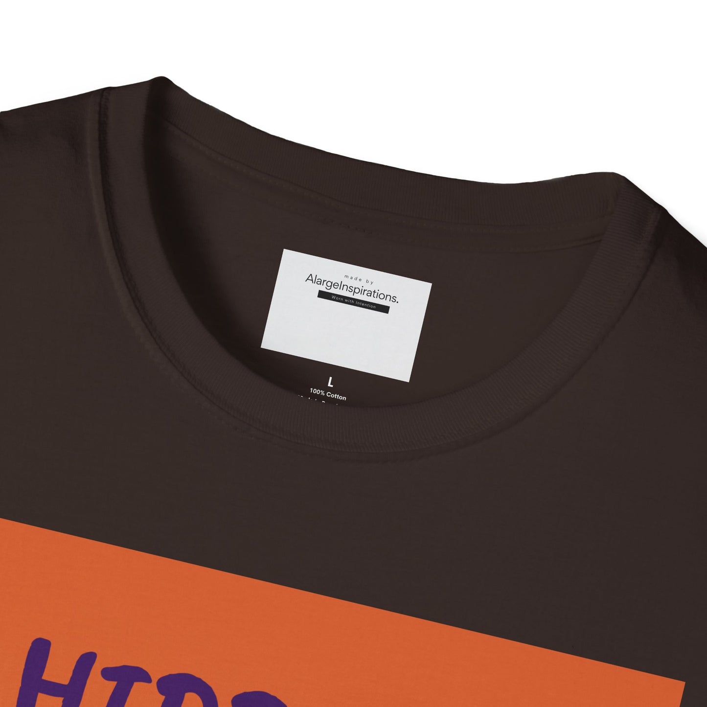 Halloween Pumpkin T-Shirt | Hidden in Plain Sight | Keep It Private T-Shirt for Fall, Keep It Private. Wear It Bold, Spooky Season,