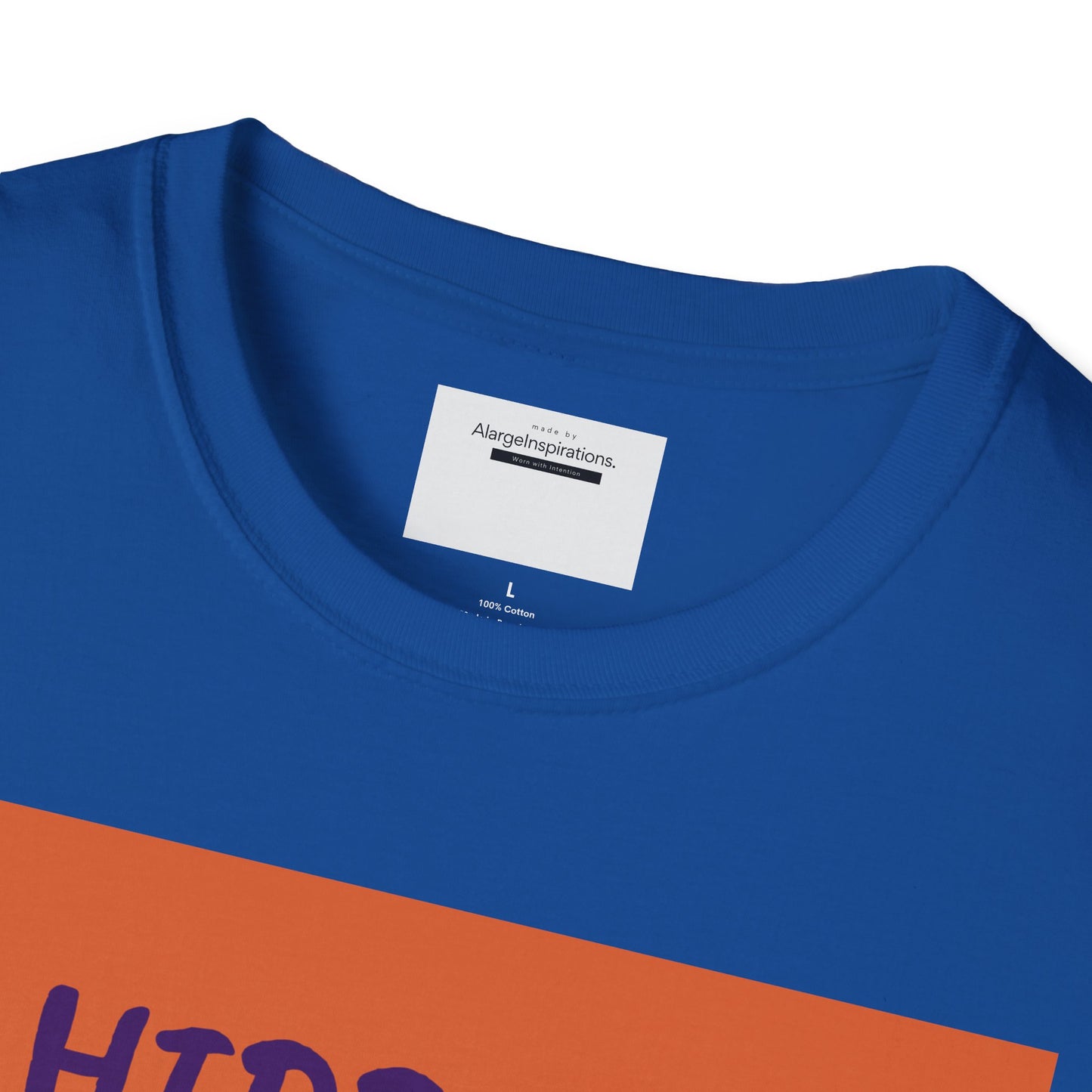 Halloween Pumpkin T-Shirt | Hidden in Plain Sight | Keep It Private T-Shirt for Fall, Keep It Private. Wear It Bold, Spooky Season,