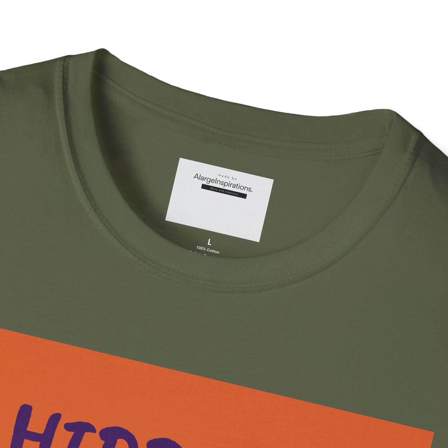 Halloween Pumpkin T-Shirt | Hidden in Plain Sight | Keep It Private T-Shirt for Fall, Keep It Private. Wear It Bold, Spooky Season,