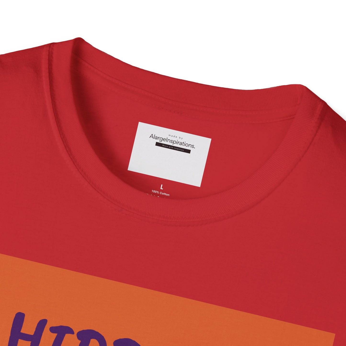 Halloween Pumpkin T-Shirt | Hidden in Plain Sight | Keep It Private T-Shirt for Fall, Keep It Private. Wear It Bold, Spooky Season,